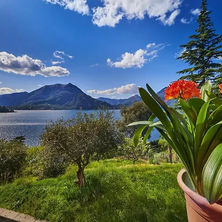 Casa Clivia *